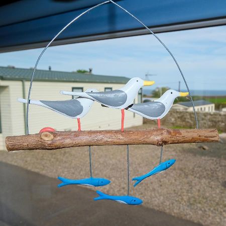 Kittiwake Saint Cyrus Exterior foto